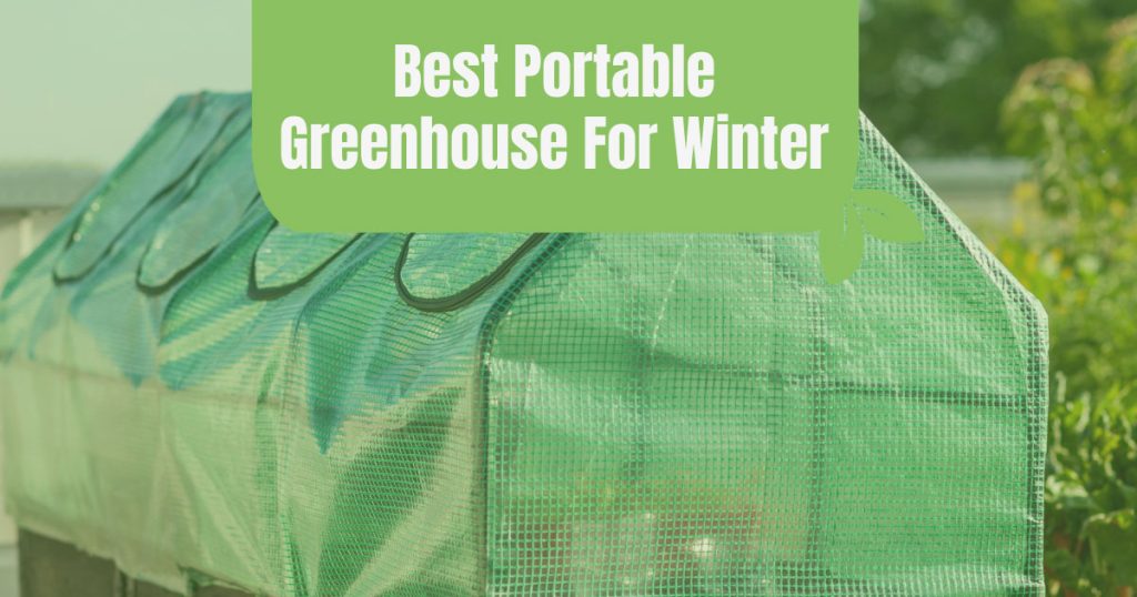 best portable greenhouse for winter