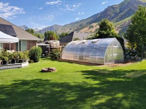 Beautiful setting of a Exaco Riga XL8 Greenhouse in the backyard of a house with mountains in the background