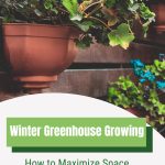 Potted foliage plant with text: Winter Greenhouse Growing