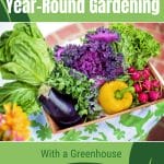 Harvest basket with colorful produce with text: Year-Round Gardening With a Greenhouse