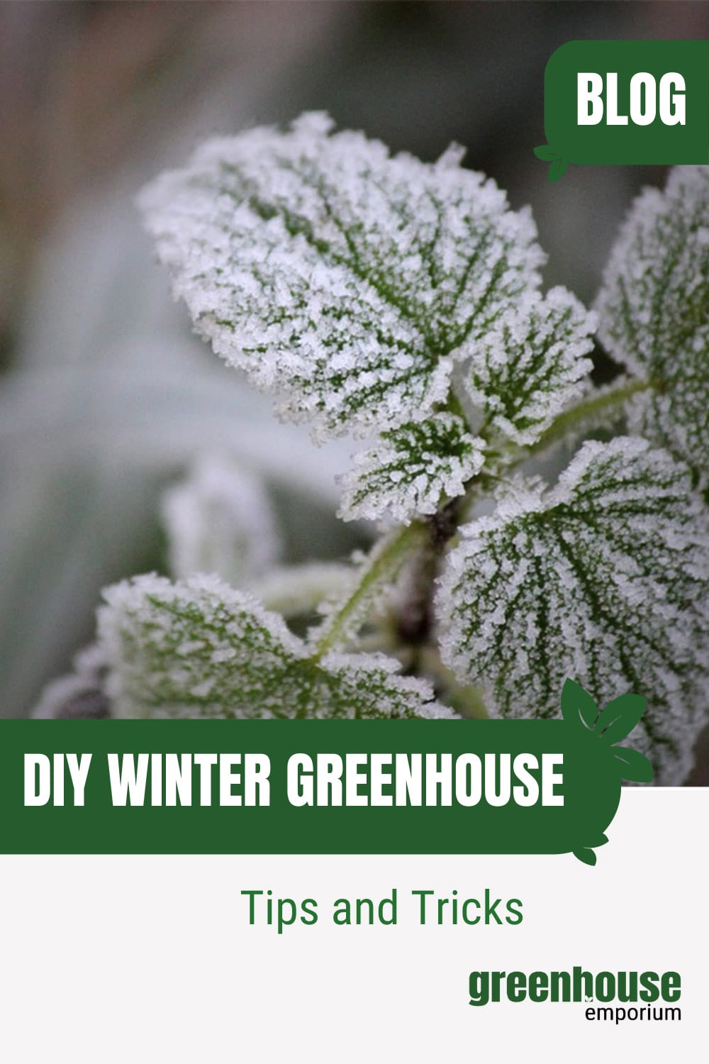 how-to-build-a-greenhouse-for-winter-frost-free-paradise