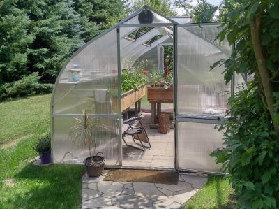 Front of Riga 5 Greenhouse with Dutch Door open