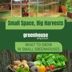 A-frame greenhouse and harvest basket with text: Small Space, Big Harvests What to Grow in Small Greenhouses