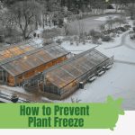 Large commercial greenhouses in snow with a graphic in the top right that says "Blog" and another graphic at the bottom reading "How to Prevent Plant Freeze in Your Greenhouse" with the Greenhouse Emporium logo at the top of the screen.