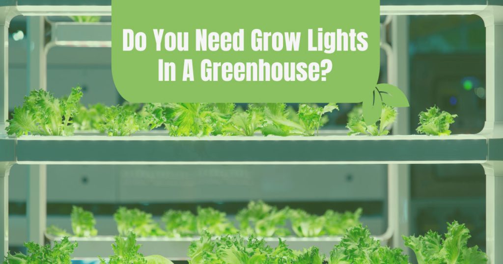 do you need grow lights in a greenhouse