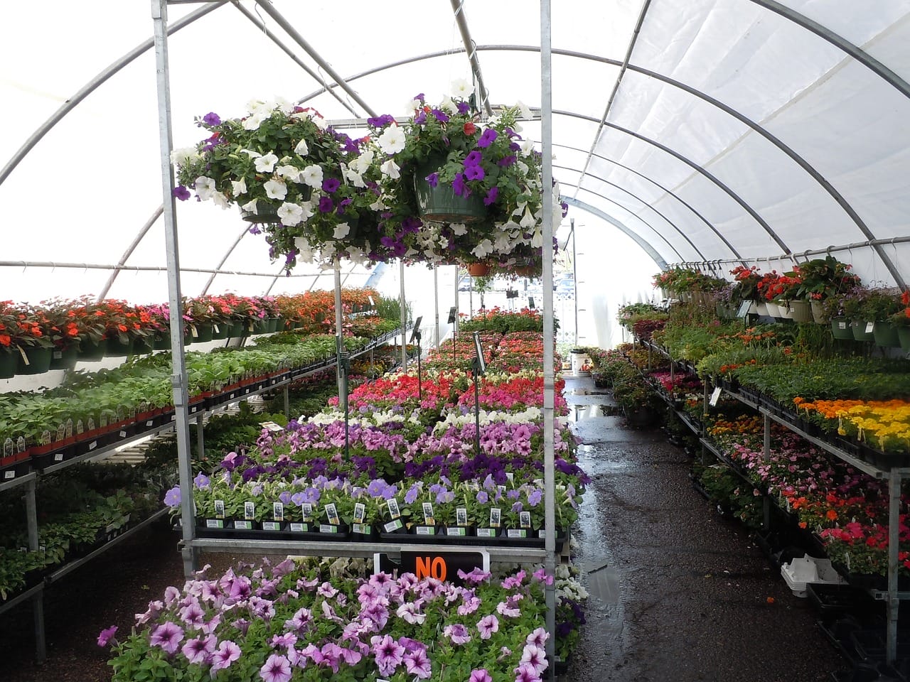 how does a greenhouse help plants grow