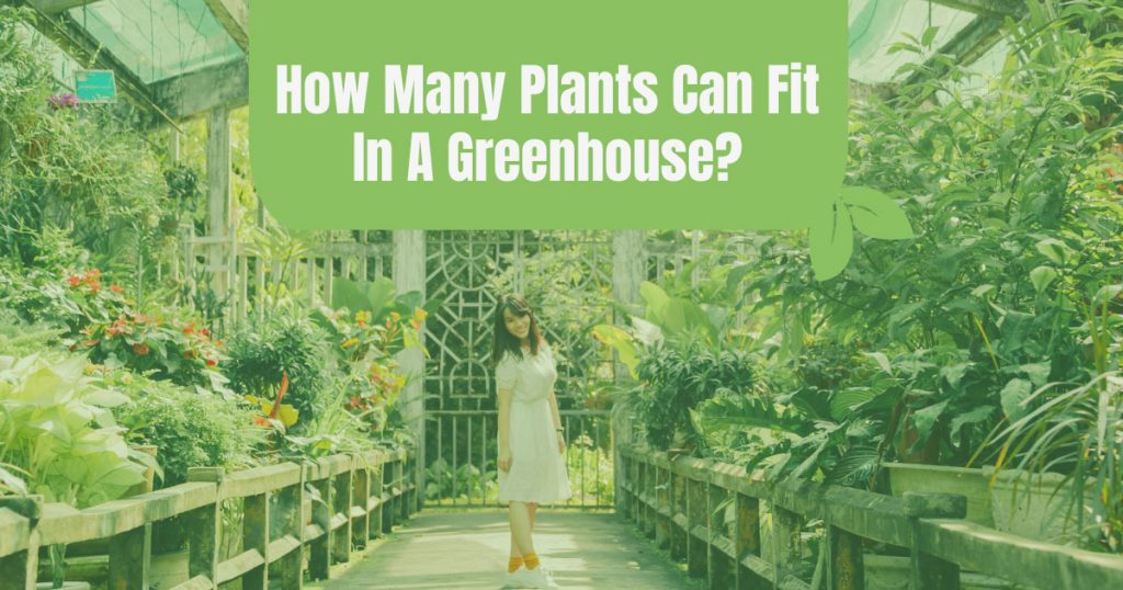 how many plants can fit in a greenhouse