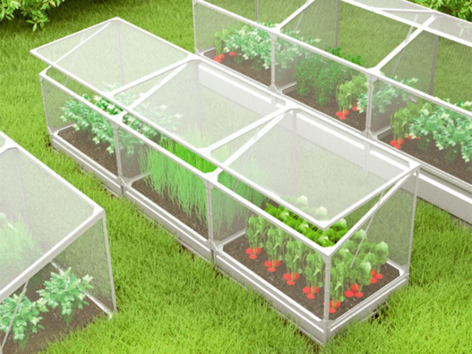 mini greenhouse gardening