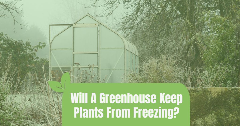 will a greenhouse keep plants from freezing