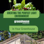 Upper image leaves with greenhouse lights and lower image exterior of greenhouse with text: Creating the Perfect Light Environment In Your Greenhouse