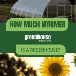 Exterior greenhouse and sunflower images with text: How Much Warmer is a Greenhouse?