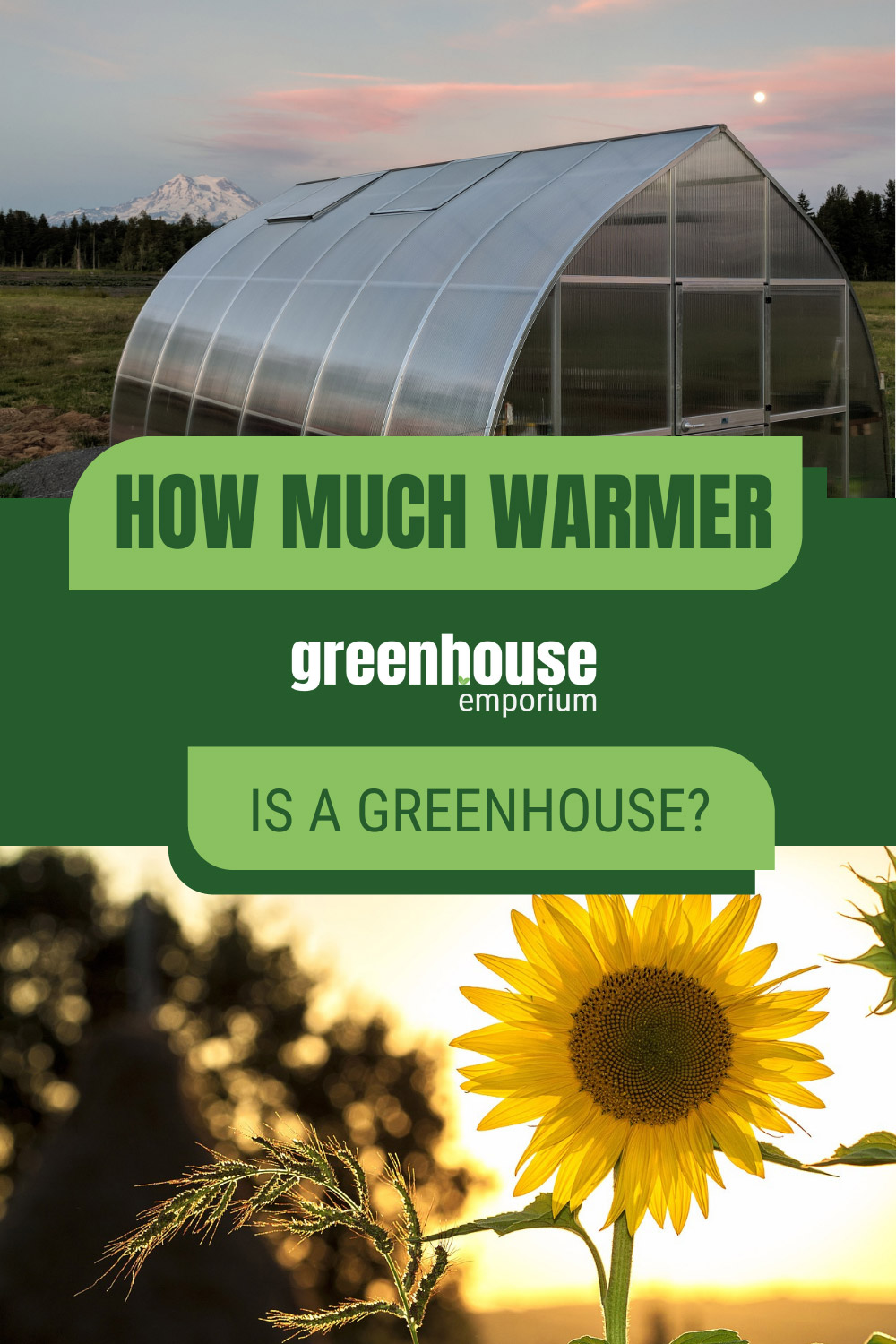 Exterior greenhouse and sunflower images with text: How Much Warmer is a Greenhouse?