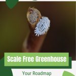 Close view of scale with text: Scale Free Greenhouse Your Roadmap