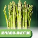Asparagus spears with text: Asparagus Adventure Greenhouse Gardening Guide