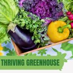 Basket of vegetables with text: Thriving Greenhouse Seasonal Planting Guide