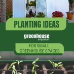 Image of greenhouse and seedling tray with text: Planting Ideas for Small Greenhouse Spaces