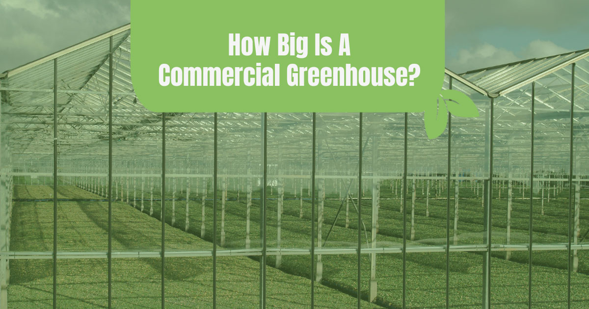 how big is a commercial greenhouse