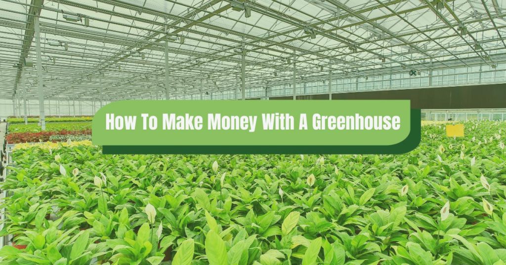 how to make money with a greenhouse