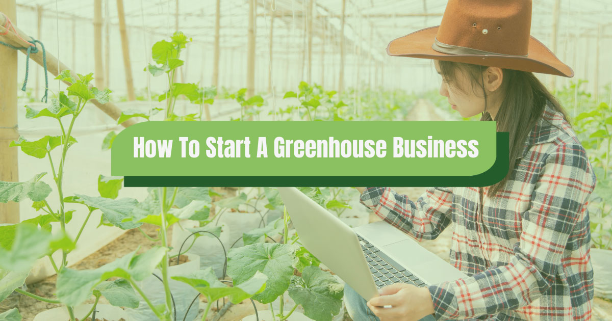 how to start a greenhouse business