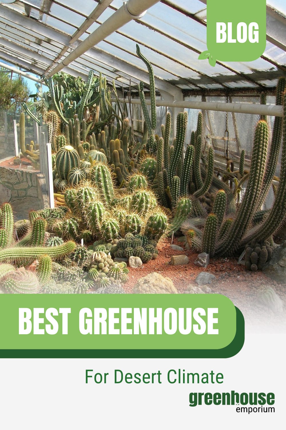 Cacti inside a greenhouse with text: Best Greenhouse for Desert Climate