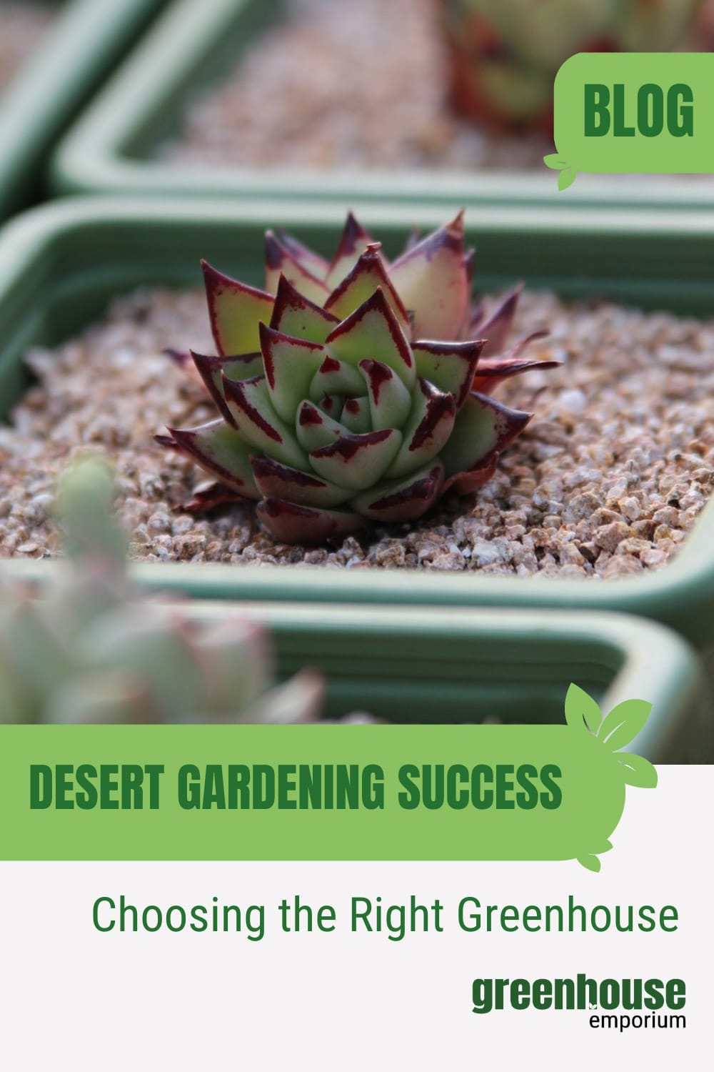 Best Greenhouse For Desert Climate Complete Guide