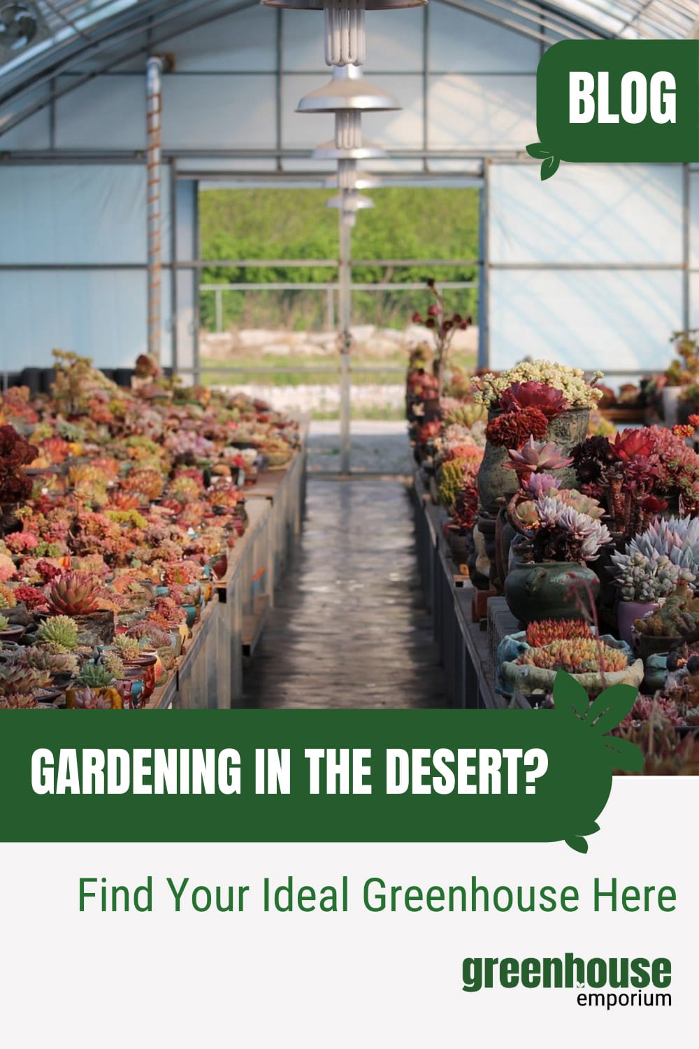 Best Greenhouse For Desert Climate Complete Guide
