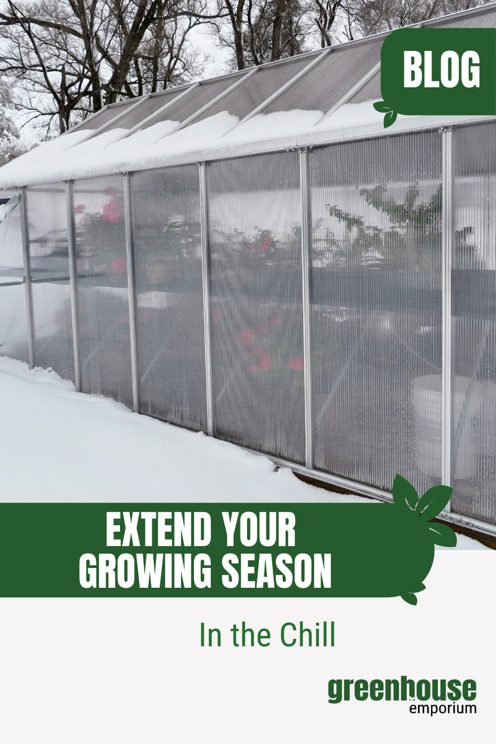 best-greenhouses-for-cold-climates-expert-picks