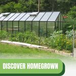 Greenhouse in garden with text: Discover Homrgrown Greenhouse Excellence