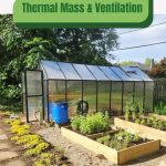 Greenhouse in garden with text: Thermal Mass & Ventilation Solar Greenhouse Essentials