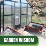 Greenhouse and cold frame with text: Garden Wisdom Cold Frame vs Greenhouse Comparison