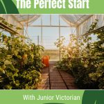 Interior of Exaco Janssens greenhouse with text: The Perfect Start with Junior Victorian Greenhouse