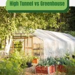 Covered tunnel with text: High Tunnel vs Greenhouse