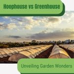 Hoop houses in rows with text: Hoophouse vs Greenhouse Unveiling Garden Wonders