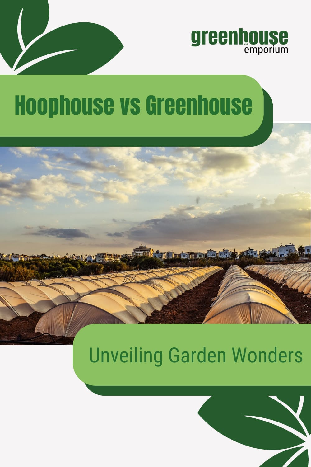 Hoop houses in rows with text: Hoophouse vs Greenhouse Unveiling Garden Wonders