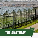 Rows of greenhouse with text: The Anatomy of A Commercial Greenhouse