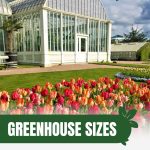 Large commercial greenhouse with tulip garden with text: Greenhouse Sizes From Small Farms to Commercial Giants