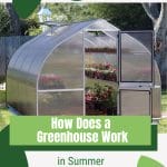 Onion shaped greenhouse with text: How Does a Greenhouse Work in Summer