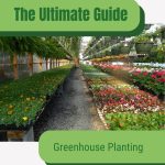 Interior of large greenhouse with hanging planters and plants in trays with text: The Ultimate Guide Greenhouse Planting