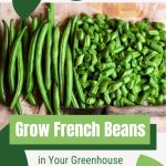 Cut and whole green beans with text: Grow French Beans in Your Greenhouse