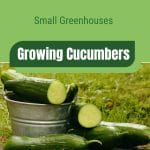 Bucket of cucumbers with text: Small Greenhouses Growing Cucumbers