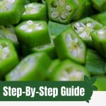 Sliced okra with text: Step-by-Step Guide Growing Okra in a Greenhouse