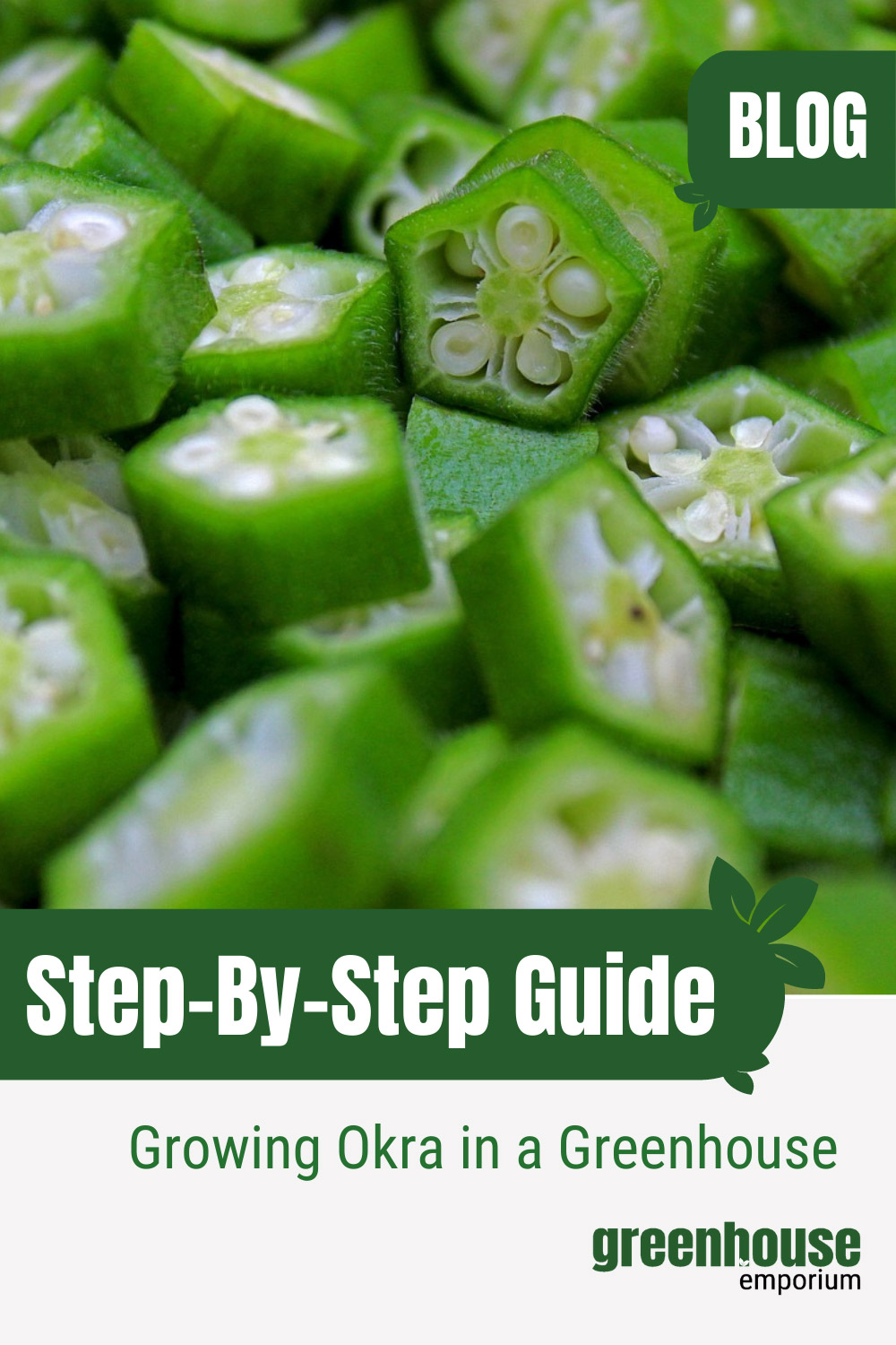 How To Grow Okra In A Greenhouse Greenhouse Emporium