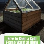 Exterior of a small cold frame with a hinged roof at night. There is a graphic at the bottom of the screen that reads "How to Keep a Cold Frame Warm at Night".