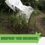 Greenhouse cover parted from structure with text: Windproof Your Greenhouse Ultimate Protection Tips