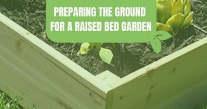 Raised garden bed with soil and text Preparing the Ground for a Raised Bed Garden