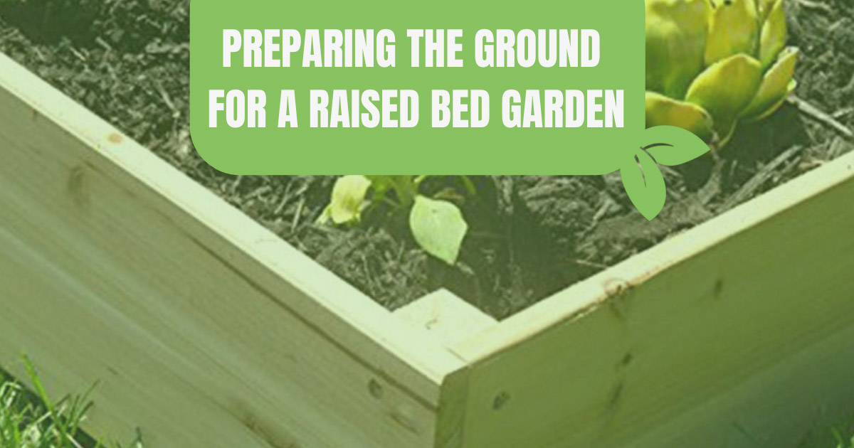 Raised garden bed with soil and text Preparing the Ground for a Raised Bed Garden