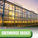 Greenhouse reflecting sun with text: Greenhouse Basics Orientation and Direction