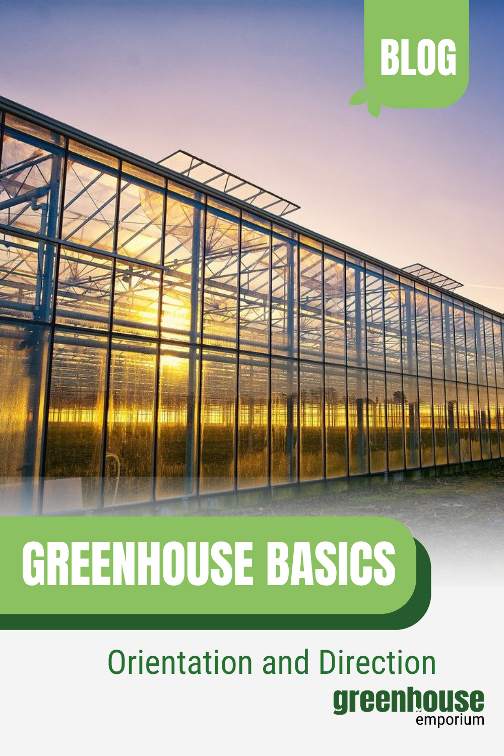 What Direction Should A Greenhouse Face? (Guide & Tips)