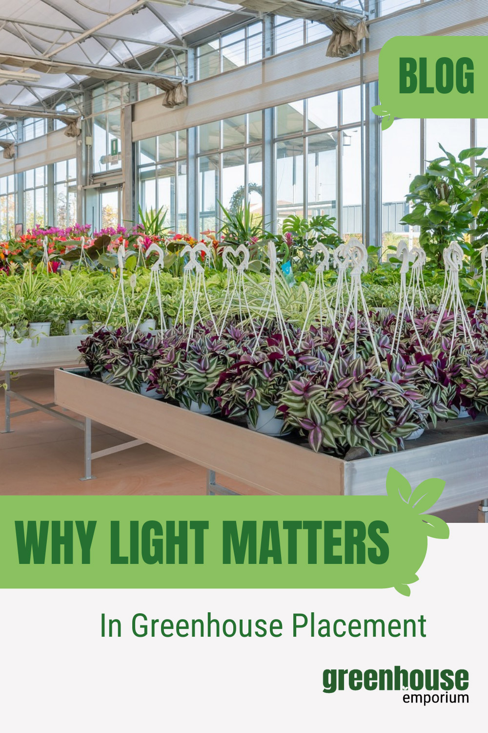 What Direction Should A Greenhouse Face? (Guide & Tips)