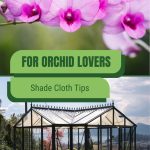 Orchids and greenhouse with shade cloths lowered with text: For Orchid Lovers Shade Cloth Tips